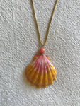 Sunrise Shell with Pink Coral