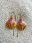 Sunrise Shell earring pair
