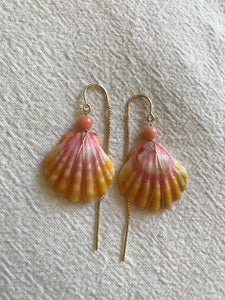 Sunrise Shell earring pair